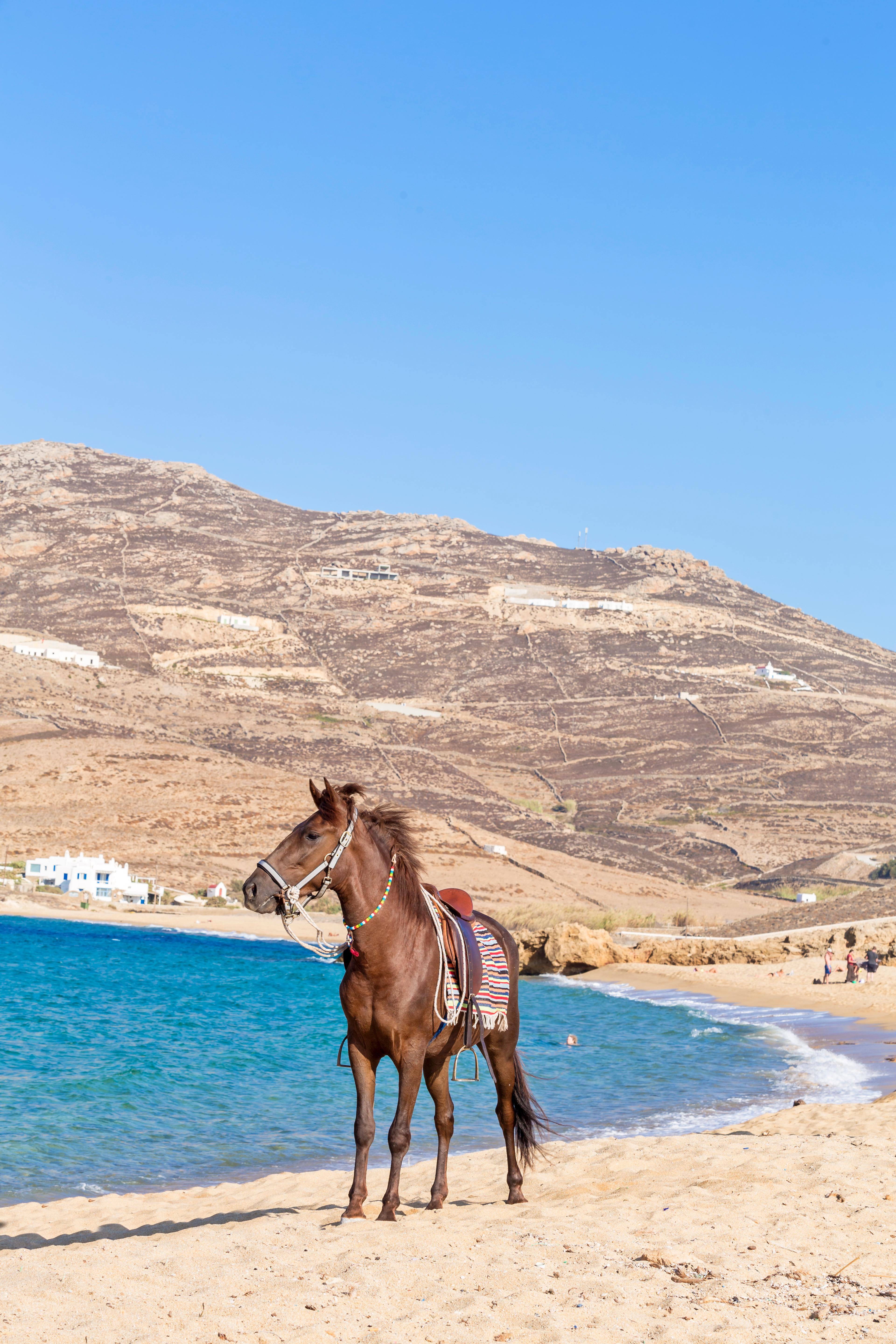 Anamar Mykonos Natural Retreat Ftelia  エクステリア 写真