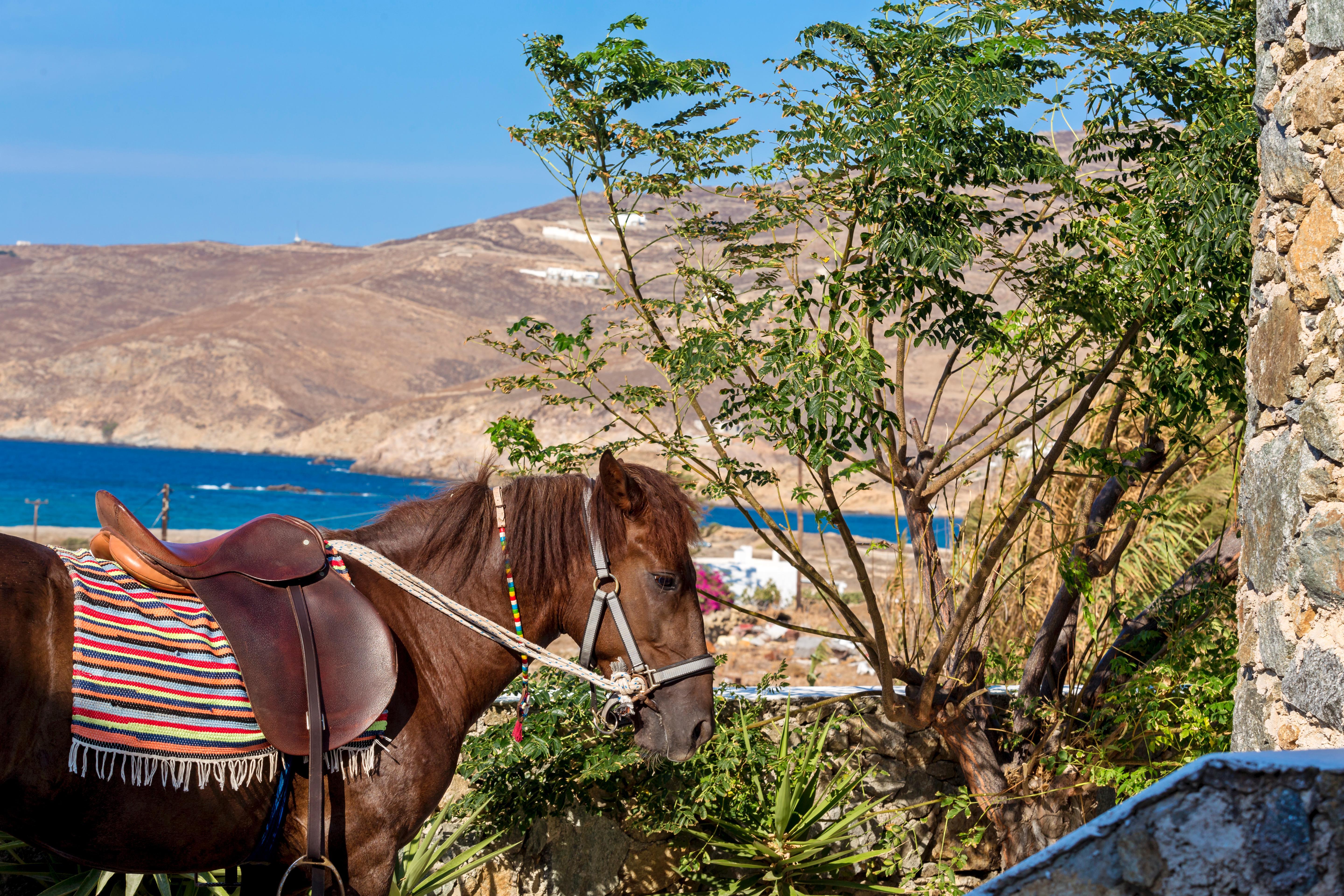 Anamar Mykonos Natural Retreat Ftelia  エクステリア 写真